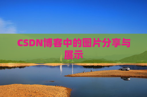 CSDN博客中的图片分享与展示